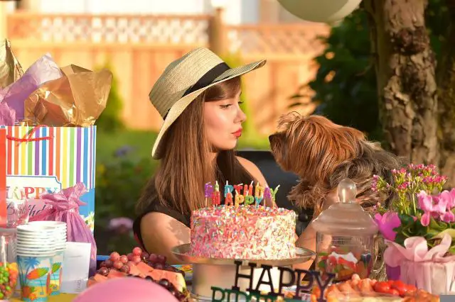 Dog Birthday Party