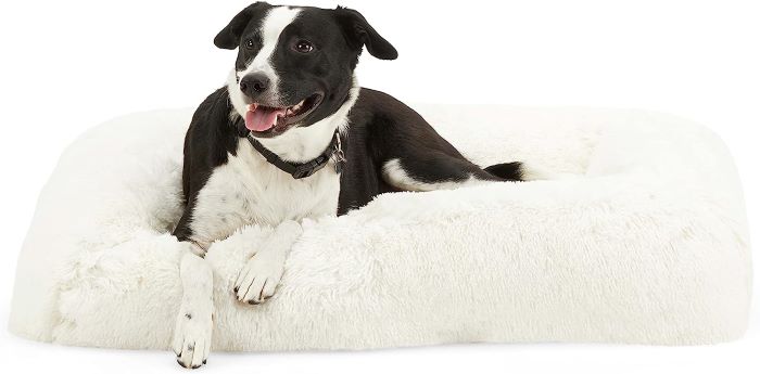 EveryYay Snooze Lavender Infused Bed for Dogs